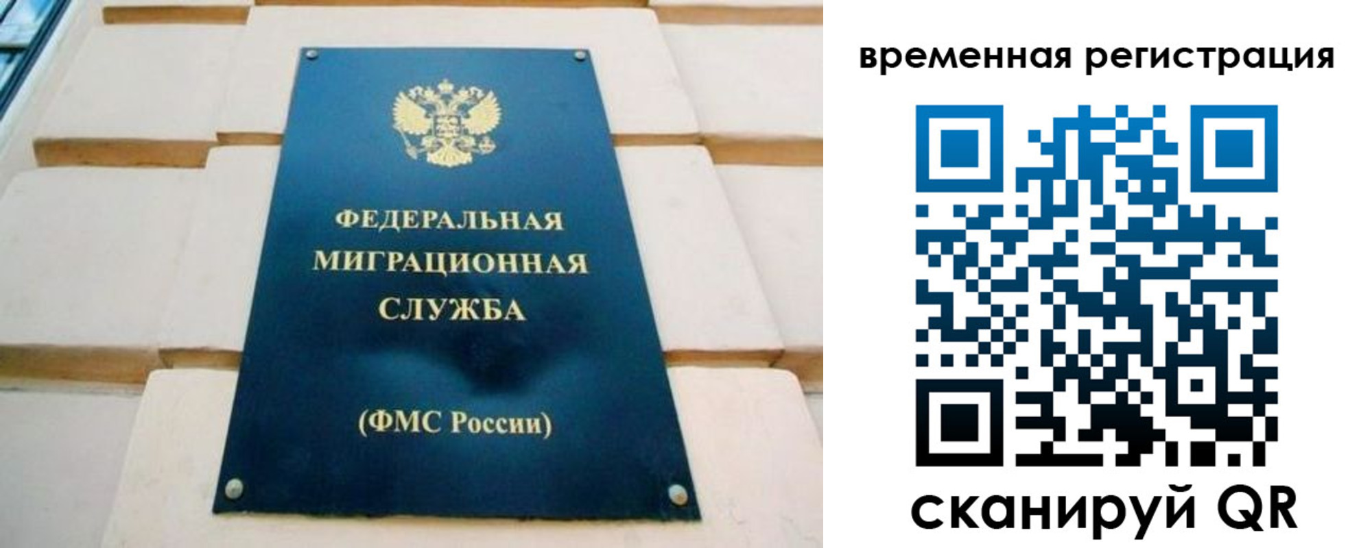 прописка гарантия в Долинске